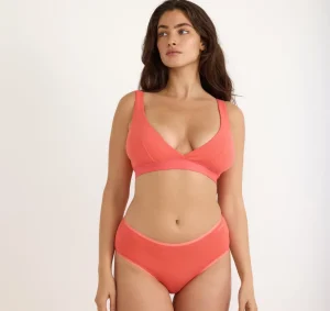 Online Organic Basics Core Briefs Sunset